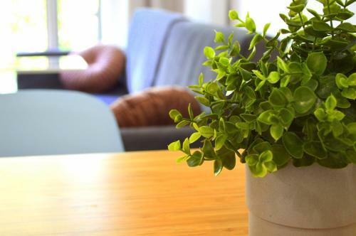 Apartamenty Polanica Zdr�j