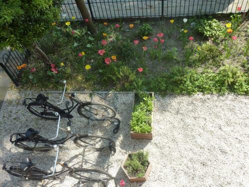 Alberti Bed & Bike