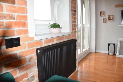 Apartament Nad Dzika Plaza