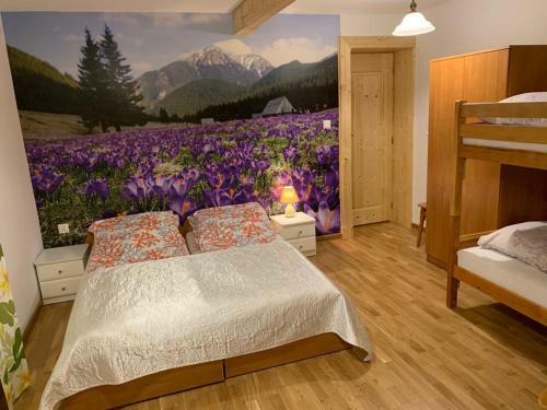 Hostal Domek Pod Maciejow?