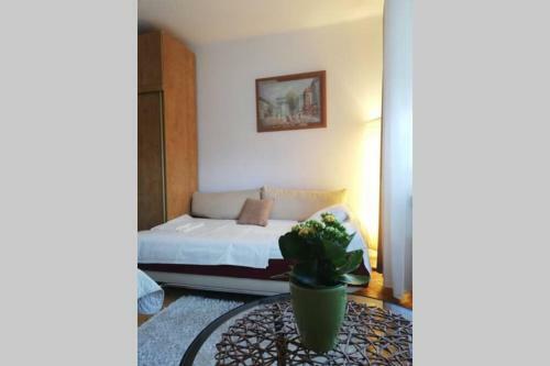 Apartament W Alejce