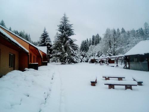 Hotel O?rodek Wczasowy "gronostaj"