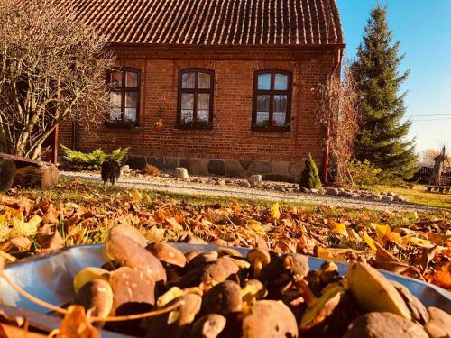 Apartamento Dworek Mazurski Ru?