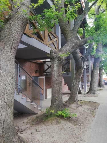 Apartament Rowy