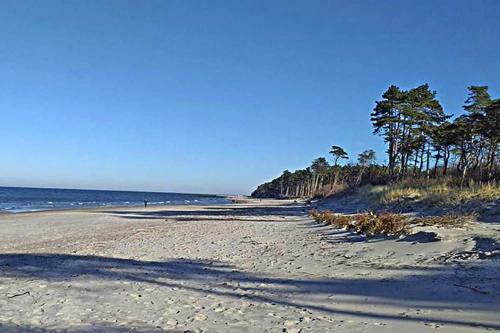 Holiday Home, Rusinowo