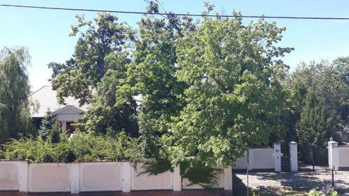 Bed & Breakfast Pensjonat Villa Unolfi