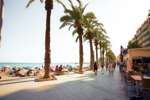 Apartamento Holiday Studio Jardin Playa
