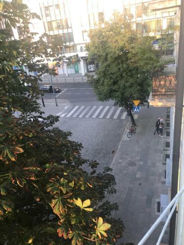 Apartament Grochowy - Pozna? Stare Miasto