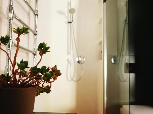Luksusowy Apartament Taczaka 21