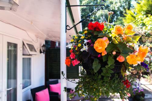 Hostal Woodlands Guest House