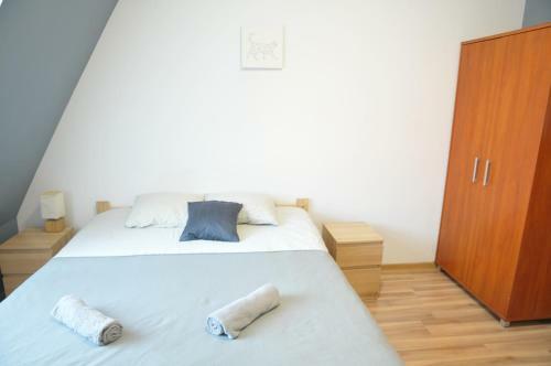 Economic Color Apartment