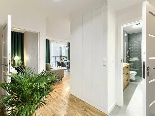 Apartament B�?nicza