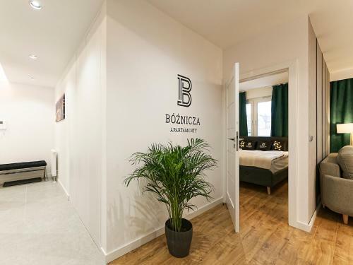 Apartament B�?nicza