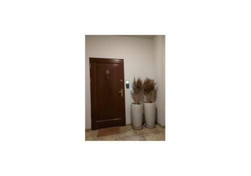 Arena Studio Apartment
