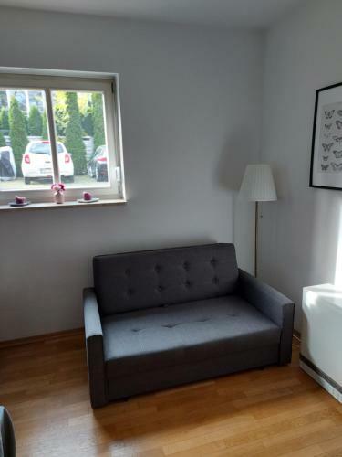 Arena Studio Apartment