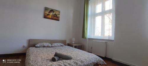 Lilia House Poznan