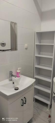 Lilia House Poznan