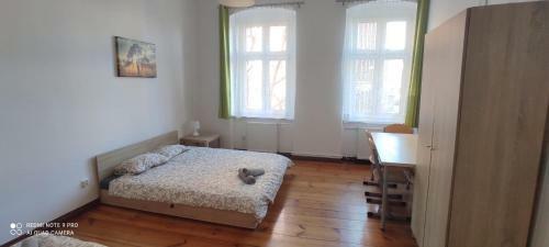 Lilia House Poznan