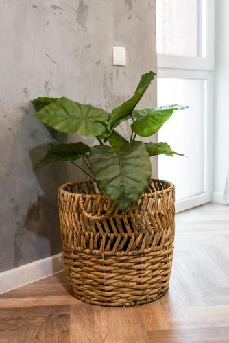 Loft Style Apartment Opie?skiego By Renters