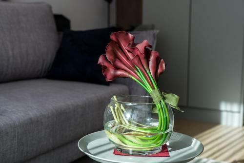 Two Bedroom Apartment Garbary By Renters