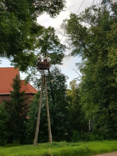 Apartament Wiejska Sielanka