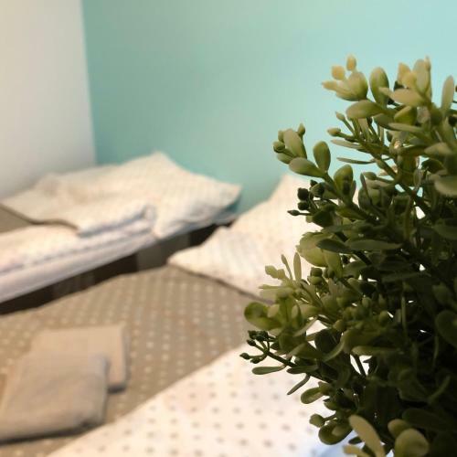 Hostal Kwadrat Apartamenty Grottgera