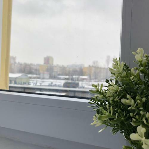 Hostal Kwadrat Apartamenty Grottgera