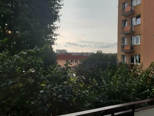 Apartamento Mieszkanie 2-pokojowe