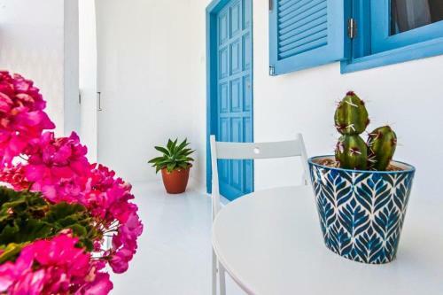 Apartamentos Cotillo Surf