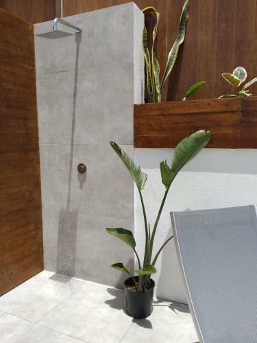 Apartamento Cotillo Sunset Paradise