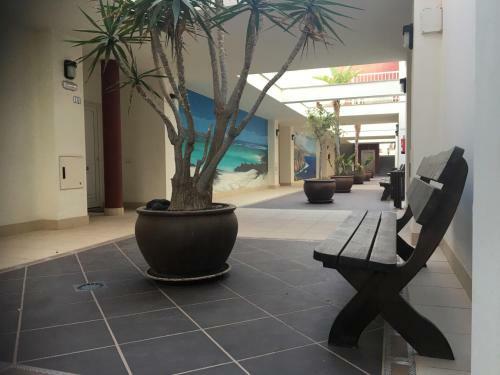 Oliastur Cotillo Apartament