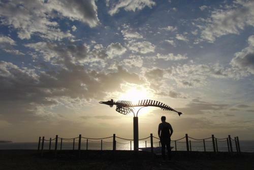Be Cotillo Apartment