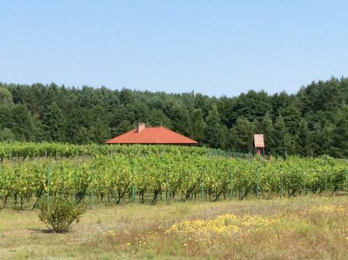 Agroturismo Winnica "?abi Raj"