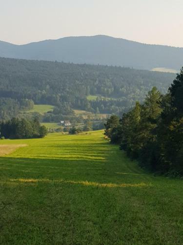 Smerekowiec Domek W Lesie