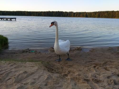 Cichy Zak?tek Nad Krutyni?
