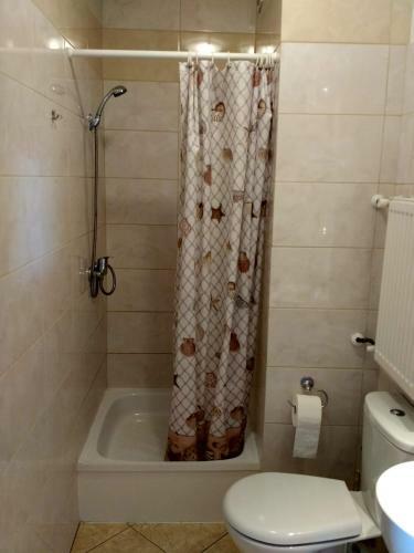 Bed & Breakfast Pokoje Go?cinne Wacu?