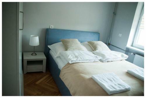 Color 24 Apartament III