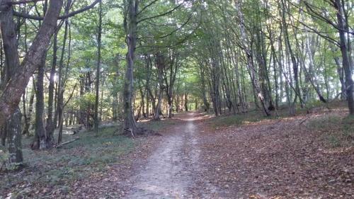 Baza W Bieszczady