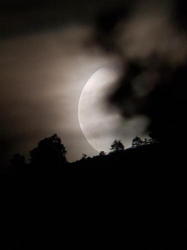 Loboratorio Rural-cuenta Hasta 3