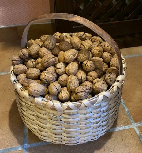 Agroturismo Casa Rural Edronekoa Ideal Parejas
