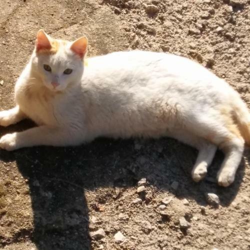 Posada La Caba�a Romantica De Llano