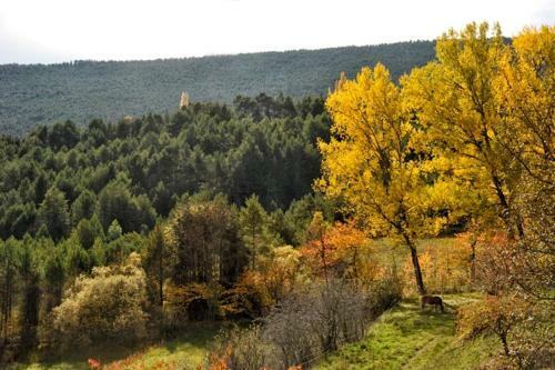 Agroturismo Cal Pon� De Belians