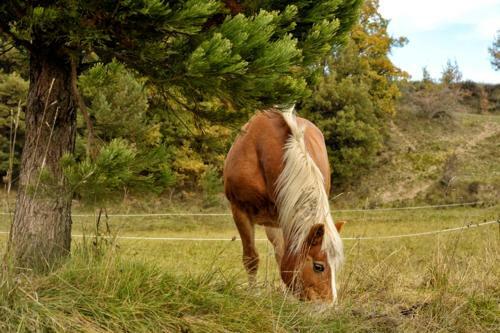 Agroturismo Cal Pon� De Belians