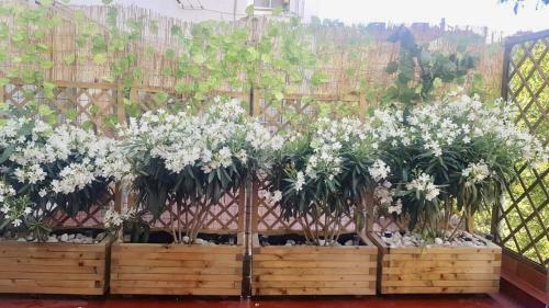 Apartamento San Quirce - C�ntrico Y Reformado- Wifi Y Netflix