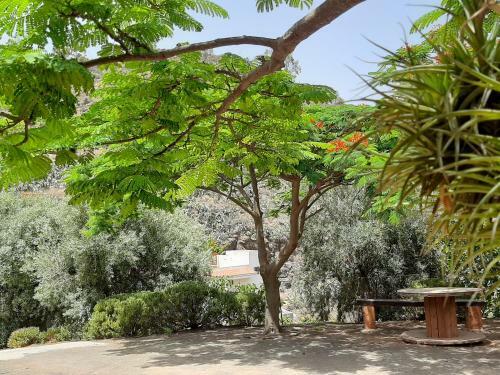 Peaceful House, Set On A Vineyard & Beautiful Views