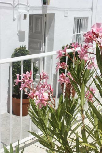 Apartamento La Casa Del Patio