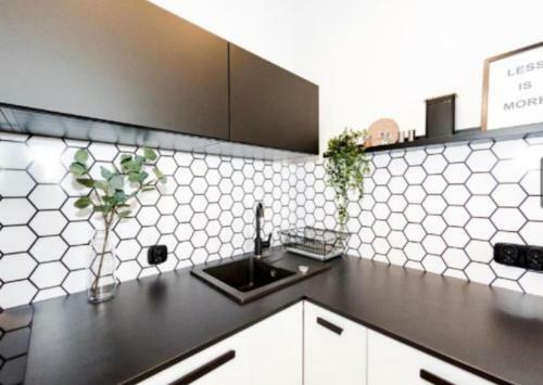 Apartament Suchy Las