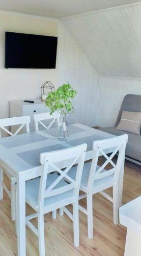 Apartament Go?cinny Zak?tek