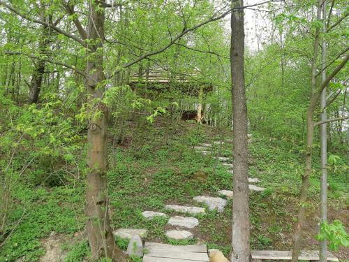 Apartamento Domek Na Wzg�rzu "wilk"