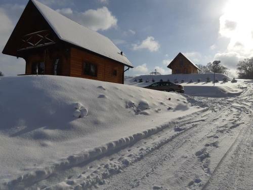 Apartamento Domek Na Wzg�rzu "wilk"